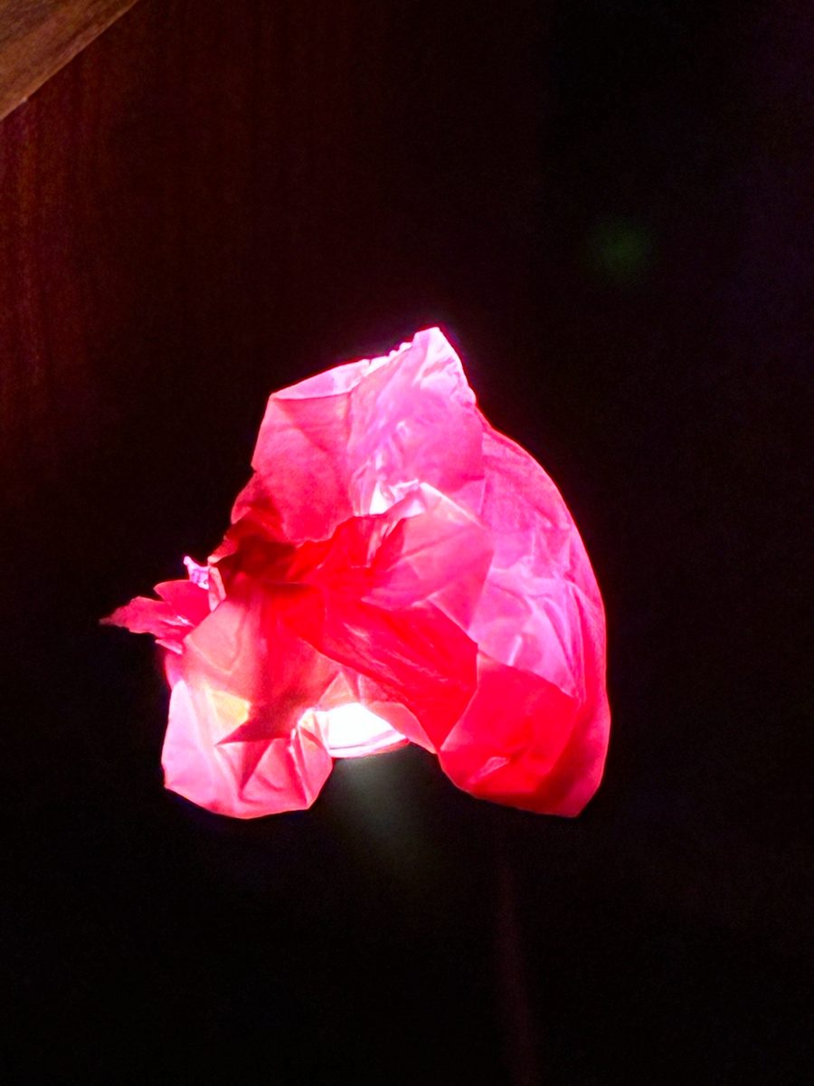 Plasma-lit translucent bloom